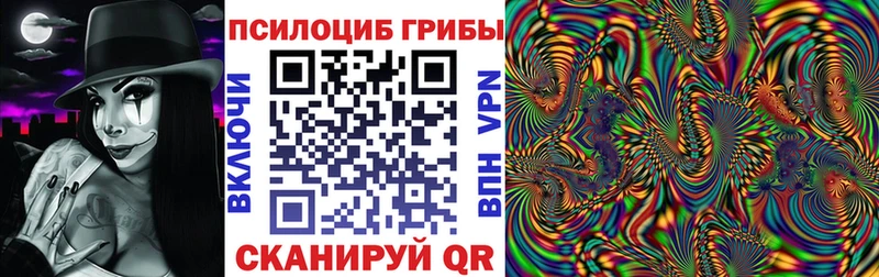 Купить  Новоржев  Галлюциногенные грибы ЛСД 